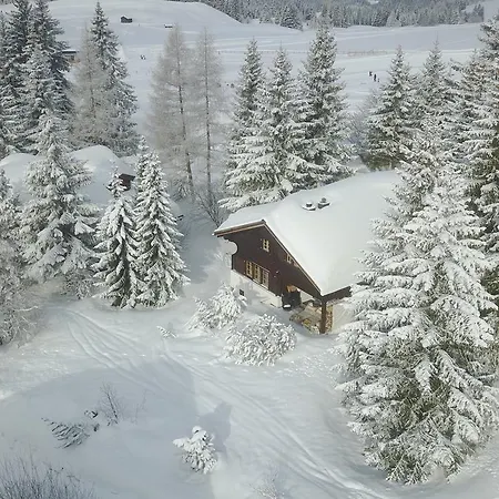 Chalet Chalet Heimberg Parpan